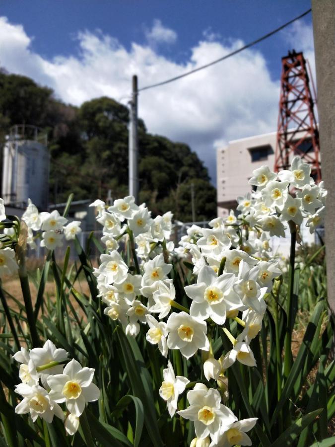 Izu Shirada Villa 伊豆白田家 Higashiizu Exterior foto