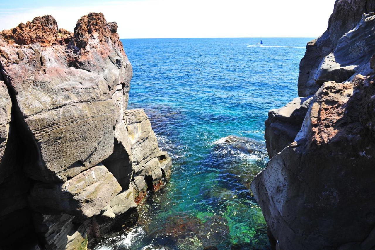 Izu Shirada Villa 伊豆白田家 Higashiizu Exterior foto